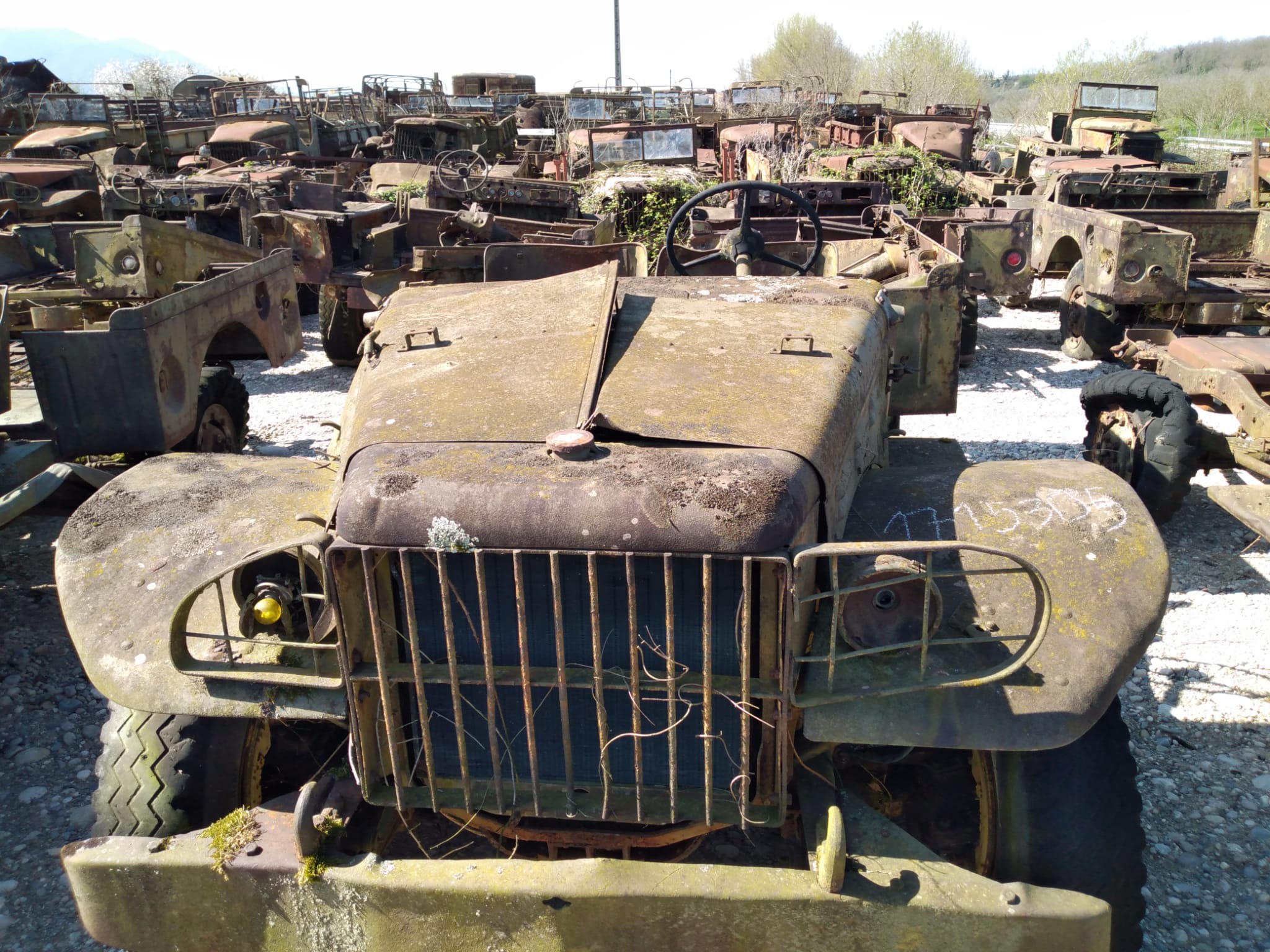 DODGE WC 51